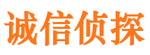 龙岩市婚外情调查